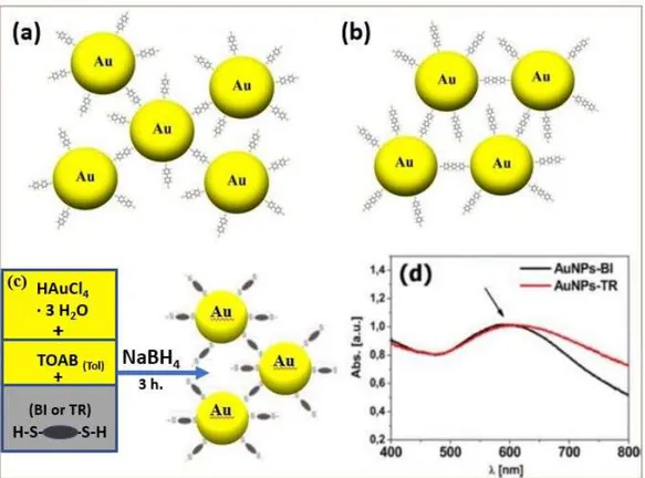 Figure 4 – In these pictures are depicted: (a) the chemical structure of AuNPs-BI and (b) AuNPs- AuNPs-TR nanoparticles; and (c) reaction scheme; (d) UV–vis absorption spectra of AuNPs-BI (black  line) and 