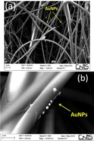 Figure 14 – SEM images of AuNPs homogeneously distributer on quartz fibres. 