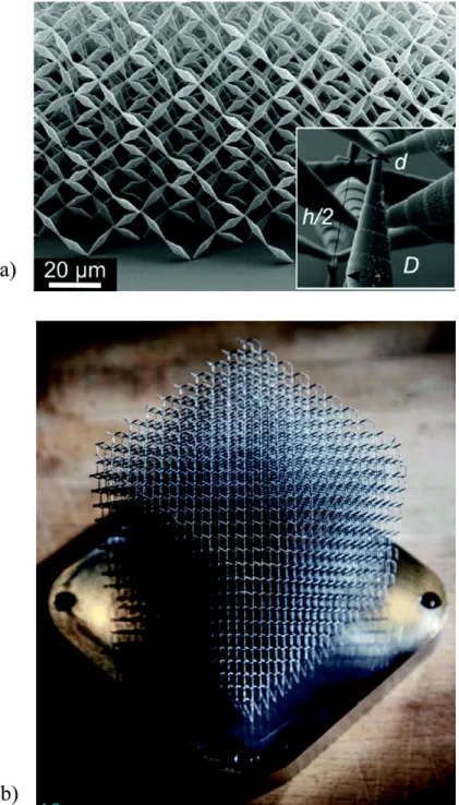 Fig. 4.8 Penatmode metamaterial.  Le immagini riportano un progetto  specifico di metamateriali  penta-mode proposto da Milton e Cherkaev  è stato realizzato per la prima volta  nel 2012 (a) e il primo metamateriale  metallico penta-mode basato sullo  stes