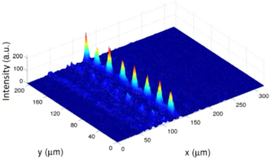 Figure 1.5. Experimental observation of modulation instability in KLTN crystal at T = T C + 5K.