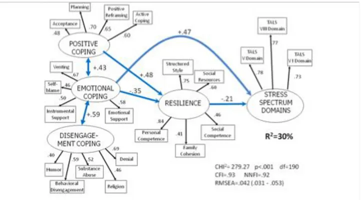 Fig. 5.1 Risulato del Modello di Equazione Strutturale (da Stratta, Capanna, Rossi et al, 2014)