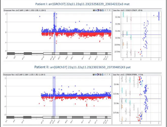 Figure	14:	Patient	I	(on	the	top)	and	II	(down)	CGH	Array	analyses	results	and,	22q11.2q11.23	CNVs’	