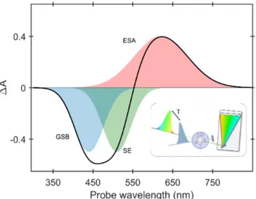 Figure 1.2: Contributions to the TA signal for a fixed delay T : ground state bleach (blue shaded area), stimulated emission (green shaded area), excited-state absorption (red shaded area) and the sum of these contributions (black solid line)