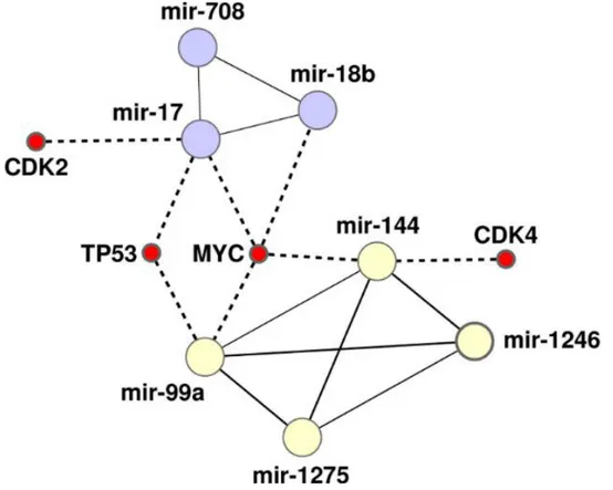Figure 6: The heterogeneous network of MiRNAs–mRNAs intermodular hubs. The triangle made of miR- miR-708, miR-18b, miR-17 and the clique made of miR-144, miR-1246, miR-1275, miR-99 interacts with four  intermodular hub coding genes: TP53, CDK4 and MYC, whi