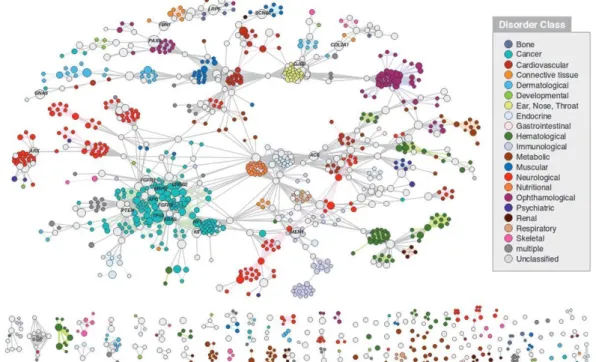 Figure 10: The Disease Gene Network (DGN) of Homo sapiens taken from (Goh et al., 2007)