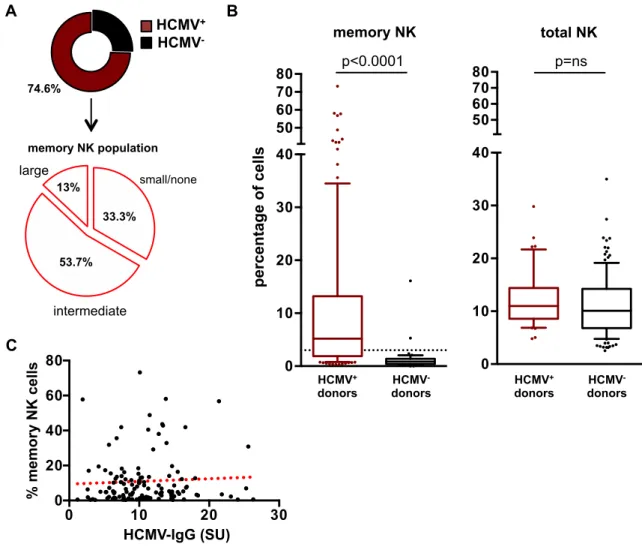 Figure 9. Ex vivo quantification of memory NK cells and HCMV serostatus 