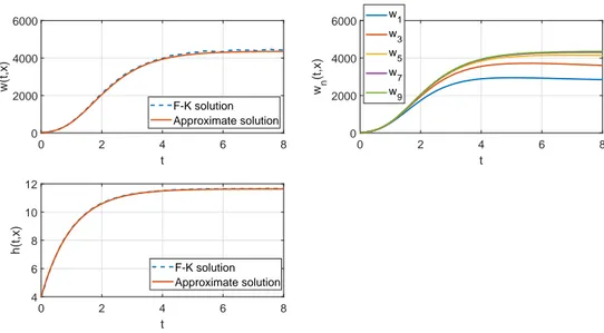 Figure 2.2. Top line: approximate solution w n (n = 2 9 ) versus the classical Feynman-