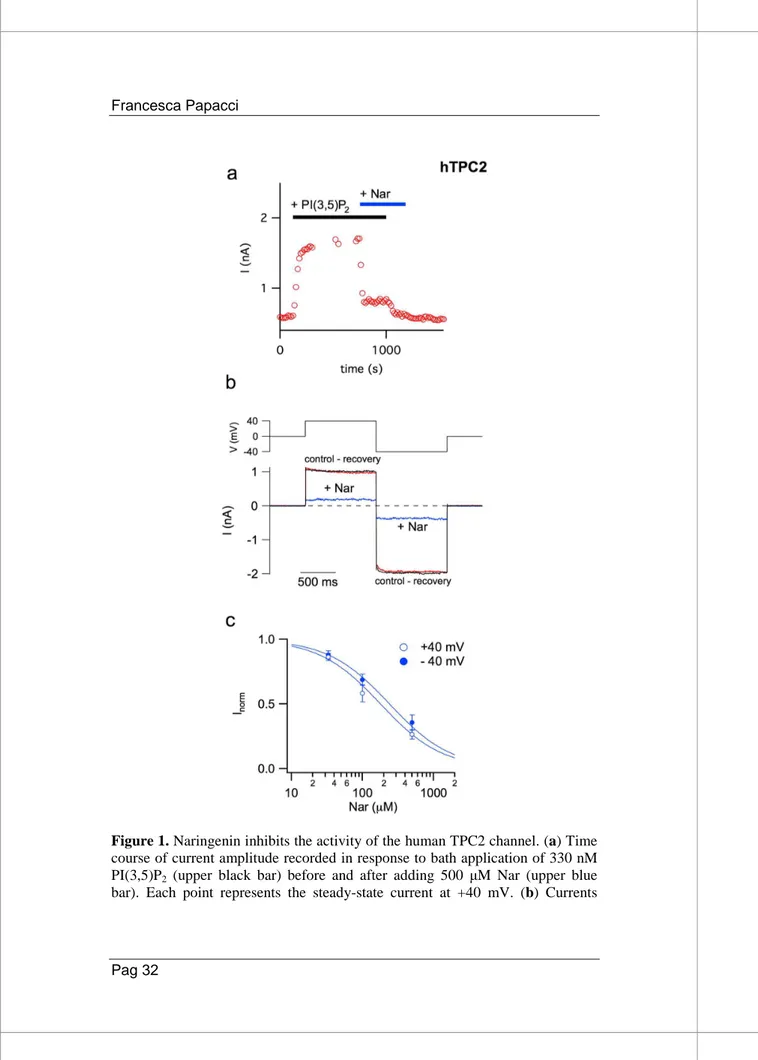 Figure 1. Naringenin inhibits the activity of the human TPC2 channel. (a) Time 