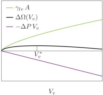 Figure 1.1: Black line is homogeneous nucleation grand potential as a function of the volume of the spherical bubble