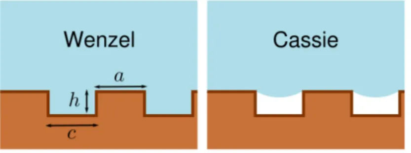 Figure 1.6: Sketch of superhydrophobic surface with rectangular grooves having height h, width c, and with crest widht a