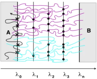 Figure 3.4: Schematic representation of branched growth FFS algorithm. From each points at λ i , k i trials are fired