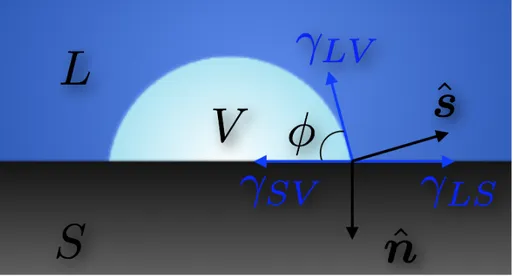 Figura 2.2: Bubble sketch illustrating both geometrical and wetting properties. F c [⇢, ✓] = Z V dV ✓ f b (⇢, ✓) + 12 r⇢ · r⇢ ◆ +l ✓ M 0 Z V ⇢dV ◆ + Z @V dSf w (⇢, ✓) 