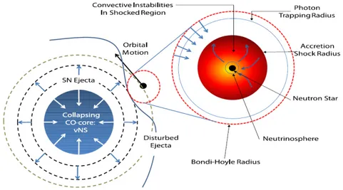 Figure 3.3: Interaction of SN ejecta with companion NS. Details are given in the text