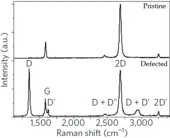 Figure 2.10: SLG Raman spectra in pristine (top panel) and defected (bottom panel) case