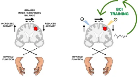 Figure  1:  Schematic  overview  of  the  functional  motor  system  reorganization  after  stroke  and  the  neuromodulation strategies to promote recovery of (hand) function