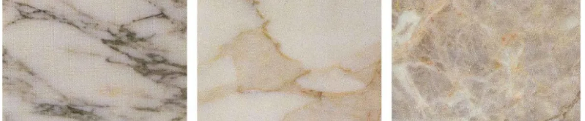 Fig. 22 Marmo arabescato Cervaiole, marmo calacatta macchia oro, marmo fior di pesco carnico  [Di Sivo, 2004, p