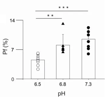 Fig. 9. P f  value of human NR1/NR2B NMDAR is significantly reduced at pH e  6.5. 
