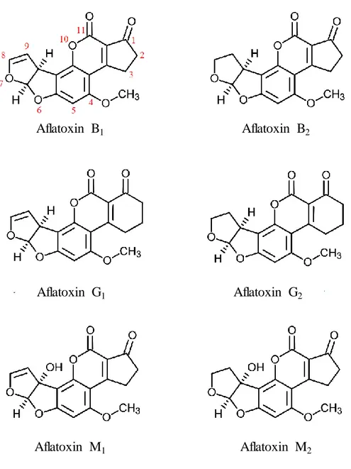 Figure 1. Chemical structure of aflatoxins. 