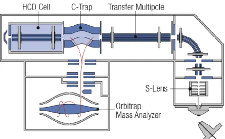 Figure 3. Schematic of the Q-Exactive mass spectrometer. 