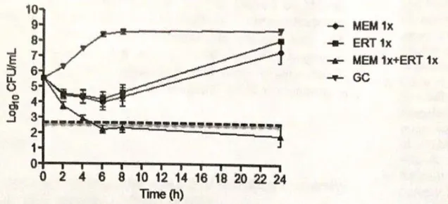 Figura 5. Risultato delle curve di killing dei 16 ceppi di CR-Kp dei pazienti del gruppo A
