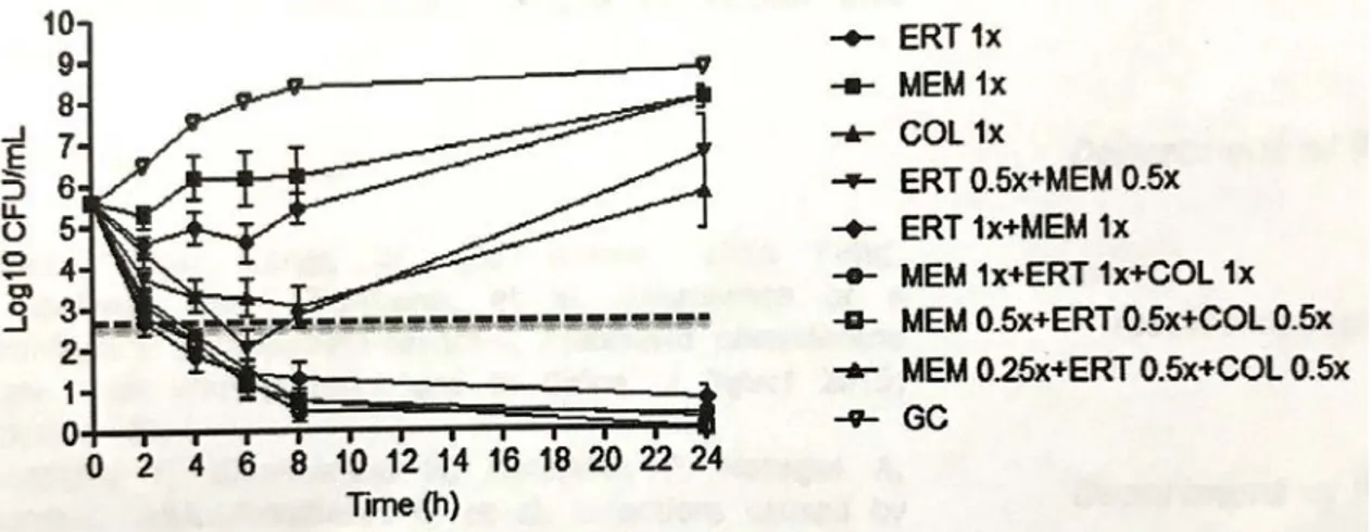 Figura 6. Risultato delle curve di killing dei 12 ceppi di CR-Kp dei pazienti del gruppo B
