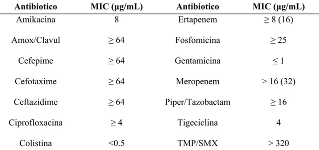 Tabella 6. MIC di Escherichia coli KPC+ ottenute con la metodica VITEK-2. I valori tra parentesi si  riferiscono alle MIC ottenute con la macrodiluizione in brodo