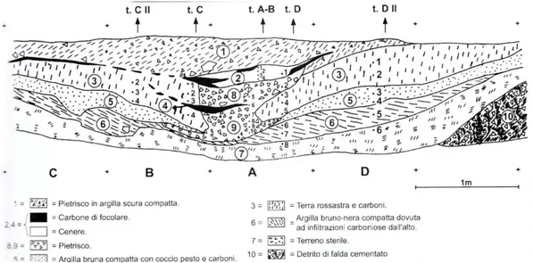Fig. 2 Sezione della parete SW degli ampliamenti A-B-C-D-del settore 3, GATTI 2004, p