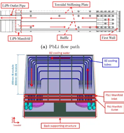 Figure 2.11. Breeding zone elementary cell with C-pipe layout: PbLi flow path and connection with the distribution and collection manifold [21, 29]