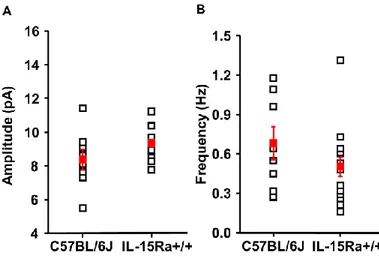 Figure 9. Post-synaptic currents recorded in CA1 pyramidal neurons obtained from C57BL/6J (WT) and  IL-15Rα +/+   mice  show  comparable  properties