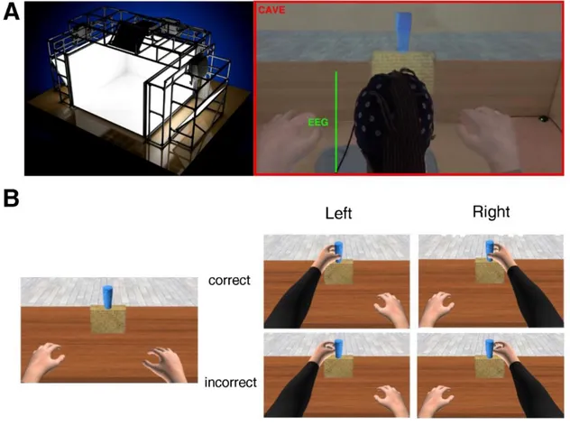 Figure 1 – Panel A: a four-screens CAVE system (left) and a snap-shot of an actual experimental trial (left)  depicting  a  participant  immersed  in  the  virtual  body  in  first  person  perspective  during  the  EEG  recording
