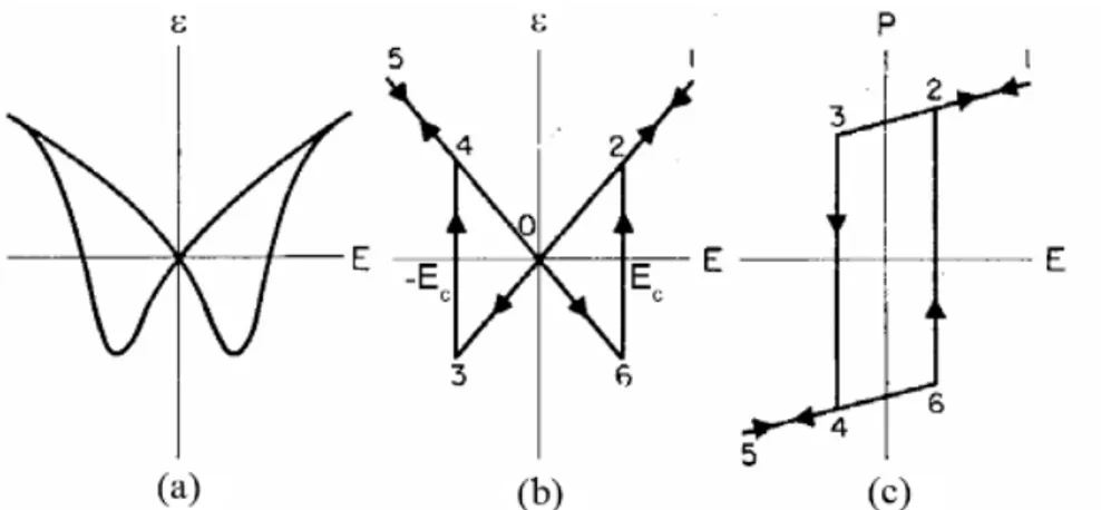 Fig. 7 Schematic description of the converse piezoelectric effect. Actual  butterfly loop (a); theoretical butterfly loop of strain vs field (b); polarization 