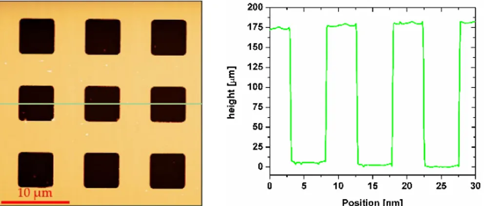 Fig. 21 shows the topography of a calibration grating with 10 µm pitch  and 180 nm step height