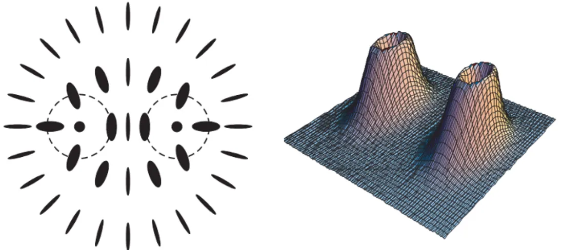 Figure 2.4: Figures from the version of [85] freely available at https://www. researchgate.net/publication/230987935_Universal_fine_structure_of_ nematic_hedgehogs — Reproduced with permission of S