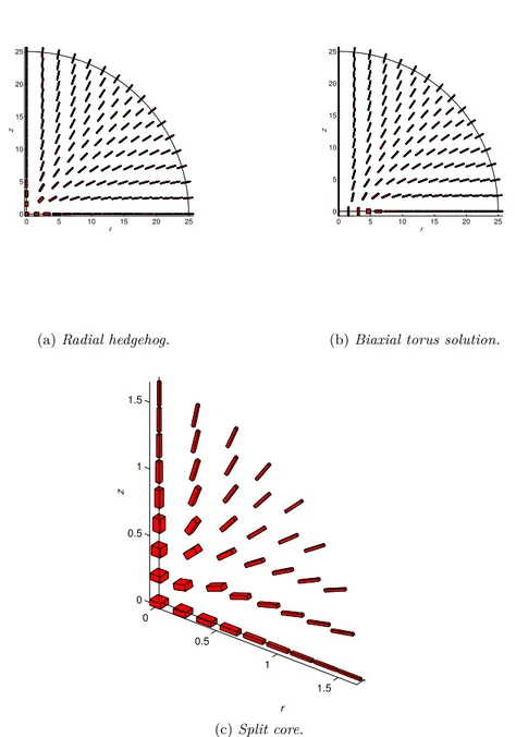 Figure 2.5: Tensor fields of competing equilibria. Tensor fields are visualized as fields of rectangular boxes aligned with the eigenframe of the Q-tensors with axes scaled proportionally to eigenvalues; a fixed constant is added to the eigenvalues, so tha