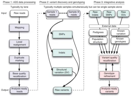 Figure 8. Framework for variant discovery and genotyping from next-generation sequencing data (DePristo et al., 2011)