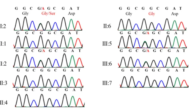 Figure 16. Electropherograms showing genotypes of patients and unaffected individuals for COL5A1 variant (Barbato et al., 2018)