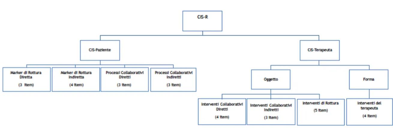 Figura 1. La struttura della CIS-R 