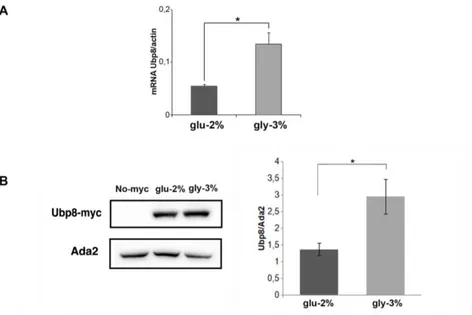 Fig.  4  Ubp8  expression  is  enhanced  in  respiratory  condition.  A 