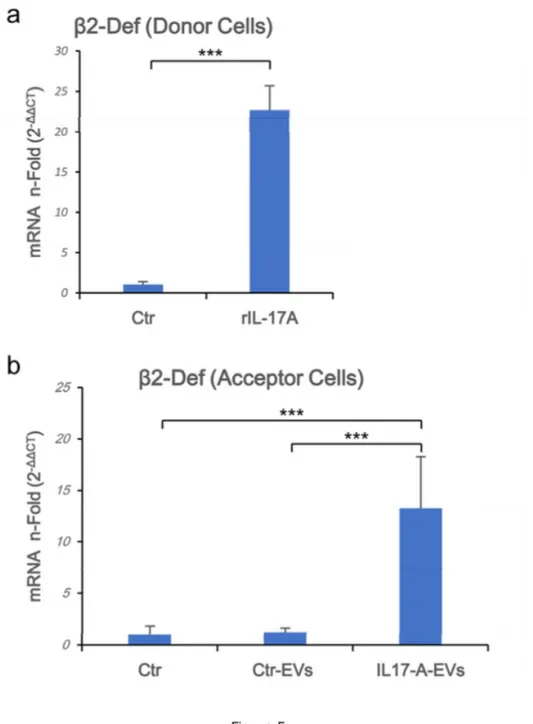 Figure 5.  b -Defensin 2 mRNA is overrepresented in acceptor cells. Donor cells (1.5x10 6  in 
