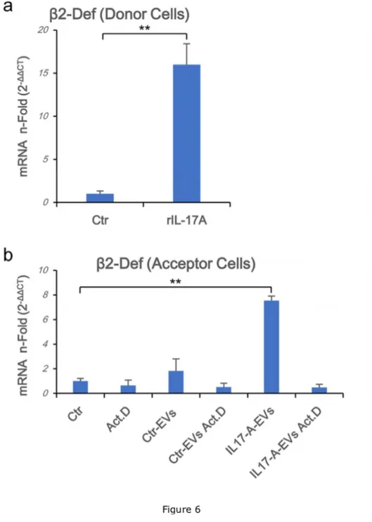 Figure  6.  IL-17A-EVs  specifically  induce  endogenous  b -Defensin  2  mRNA  in  acceptor  keratinocytes