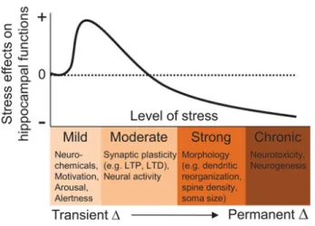 Fig.  6:  Biological  effects  of  stress  on  the  hippocampus.  As  the  severity  (intensity,  duration)  of  stress  increases,  alterations  in  neurochemicals,  synaptic plasticity, neural activity, cytoarchitecture, and neurogenesis occur  in the hi