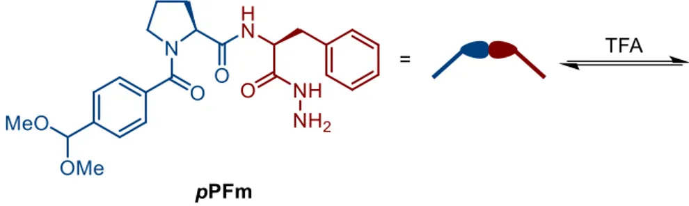 Figure 1-4. Preparation of a DCL of acyl hydrazones from  pPFm, using trifluoroacetic acid  (TFA) as a catalyst for acyl hydrazone formation and exchange