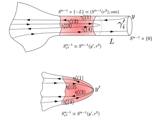 Figure 4.3. The projection p : (Y, g L,r ) → ( Y , ˆ b d L ), and the images η 0 i (j) = p(γ i 0 ).