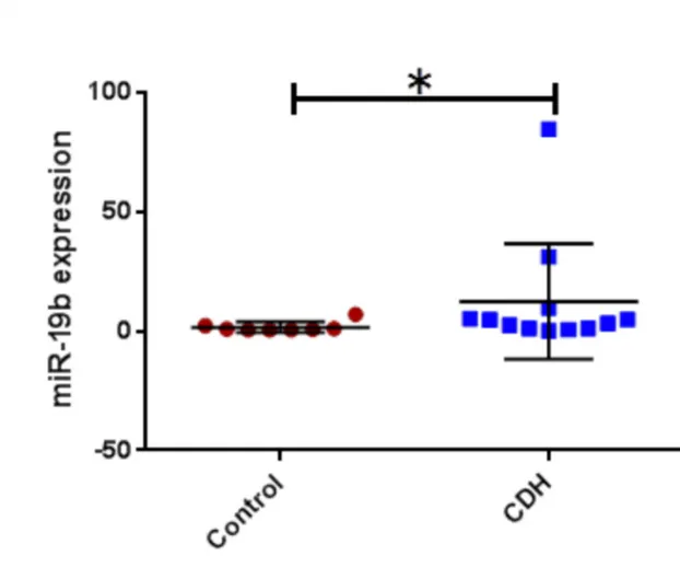 Figure c: miR19b in CDH vs controls 