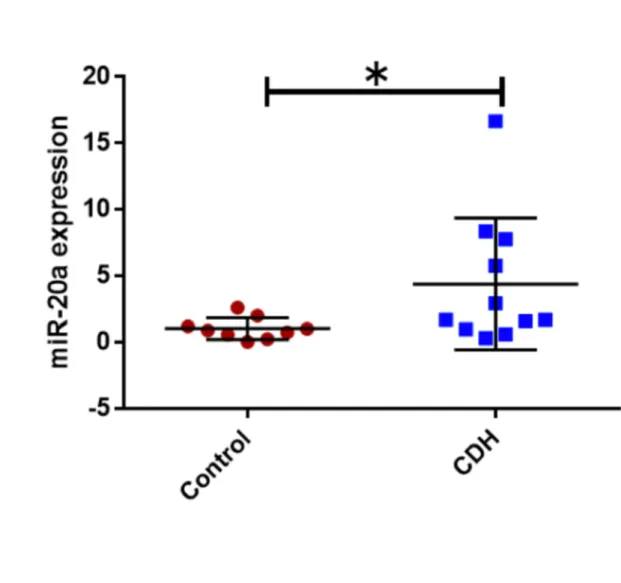 Figure d: miR20a in CDH vs controls 