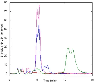 Figure  4.3  Identification  of  the  nucleotide  bound  to  PaRsgA  and  validation  of  the  nucleotide-free form production through reverse phase cromatograpy