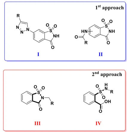 Figure 1.5 The two different approaches for the synthesis of hCAs inhibitors based on 