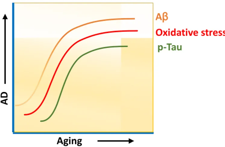 Figure 5:  Aging and AD associated characteristics. 