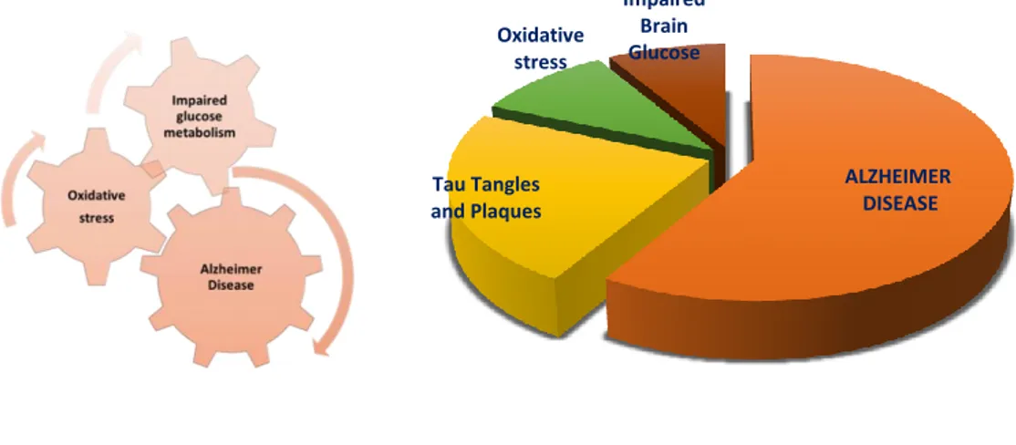Figure 10: Relationship among the oxidative stress, Alzheimer disease and impaired glucose 