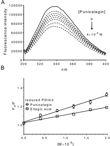 Figure 9. Protein fluorescence quenching analysis of PDIA3 in the presence of punicalagin